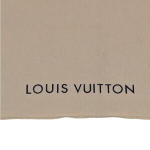 Louis Vuitton Dust Sleeper Envelope Bag
